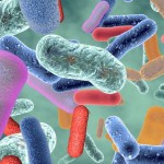 microbiote calmeva