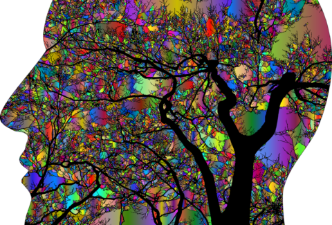 brain-4866447_1280