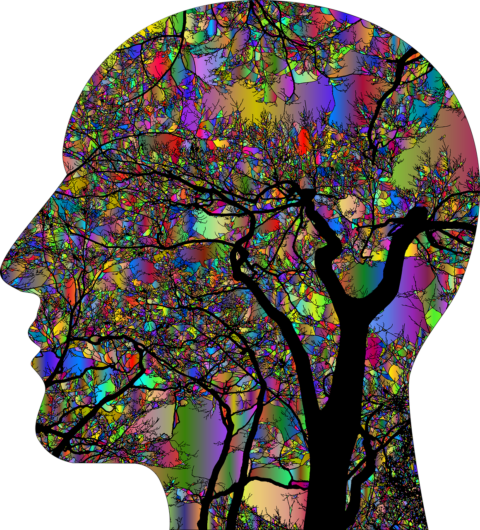 brain-4866447_1280